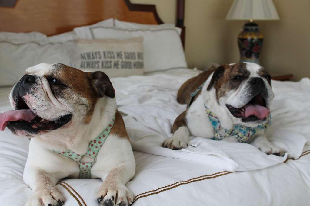 Hotel Providence Amenities photo